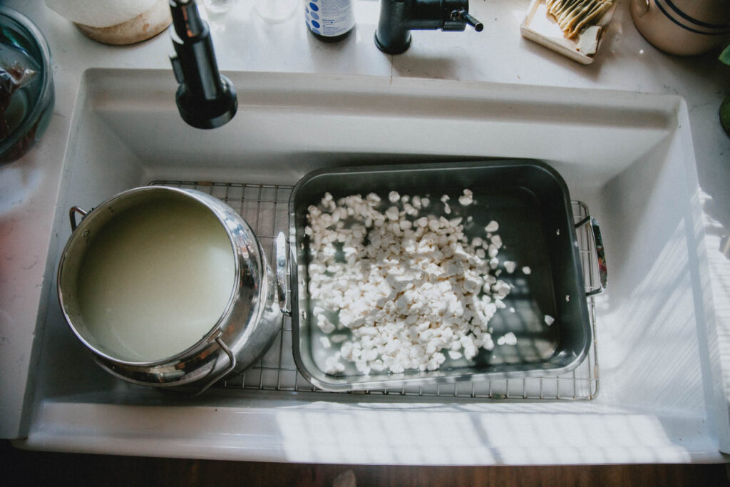 A roasting pan full of cheese curds sits in a sink full of other cheesemaking supplies.