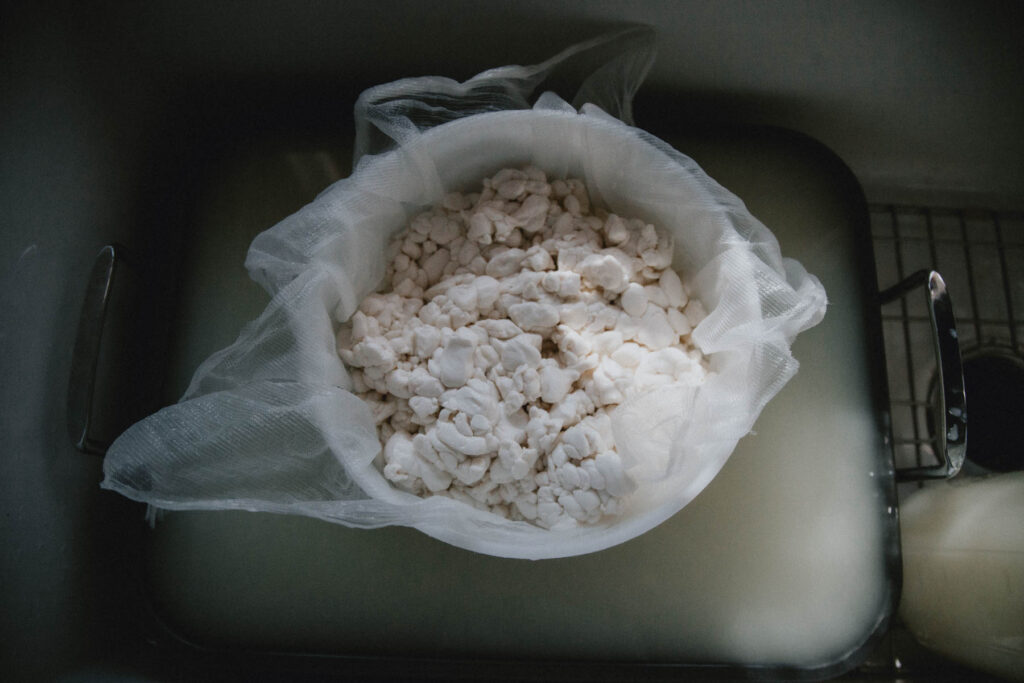 A cheese mold filled with curds wrapped in cheesecloth sits in a pan full of whey.