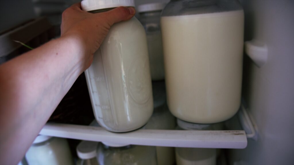 Jars of raw goat milk are stored in a fridge.