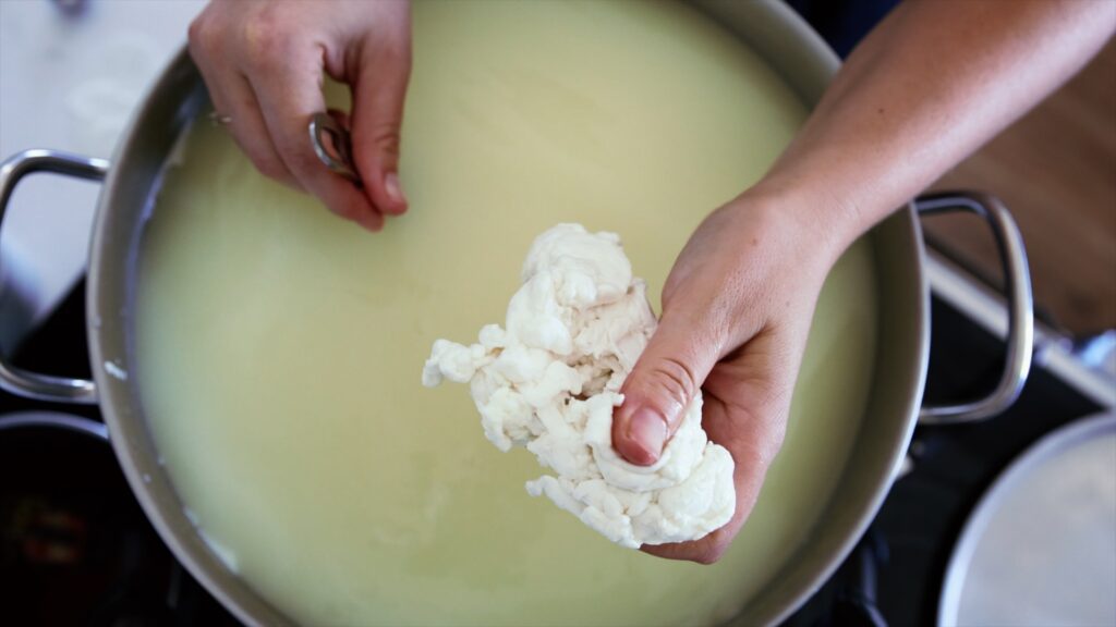 A cheesemaker holds a handful of goat milk mozzarella curds.